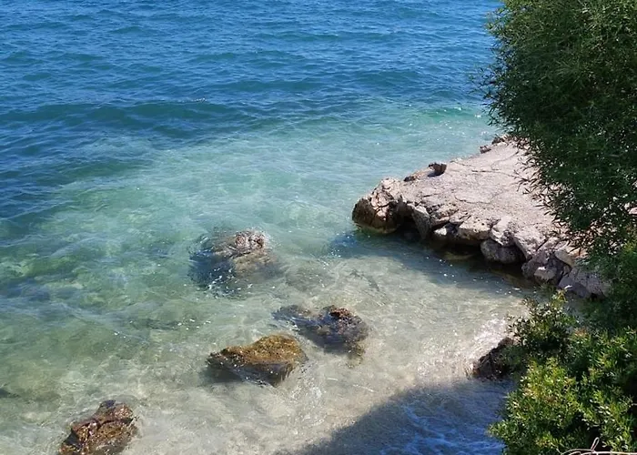 Tona Трогір